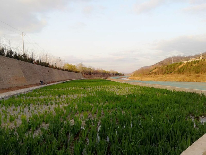 1554941250371261kQP0.jpg 76c917cf4fa8bc35f47d22937b0977f_副本.jpg