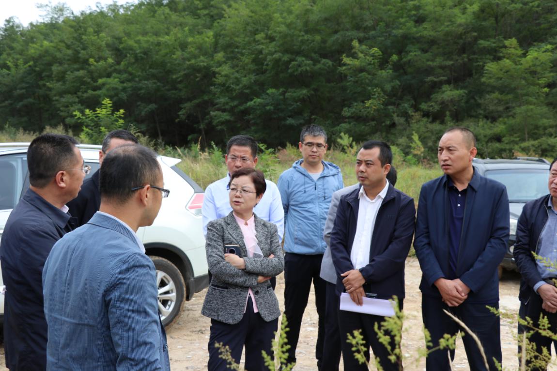 孫礦玲調(diào)研國源公司延安生活垃圾焚燒發(fā)電項目.jpg