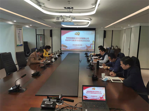 陜西保隆能源科技有限公司召開黨史學(xué)習專題民主生活會.jpg